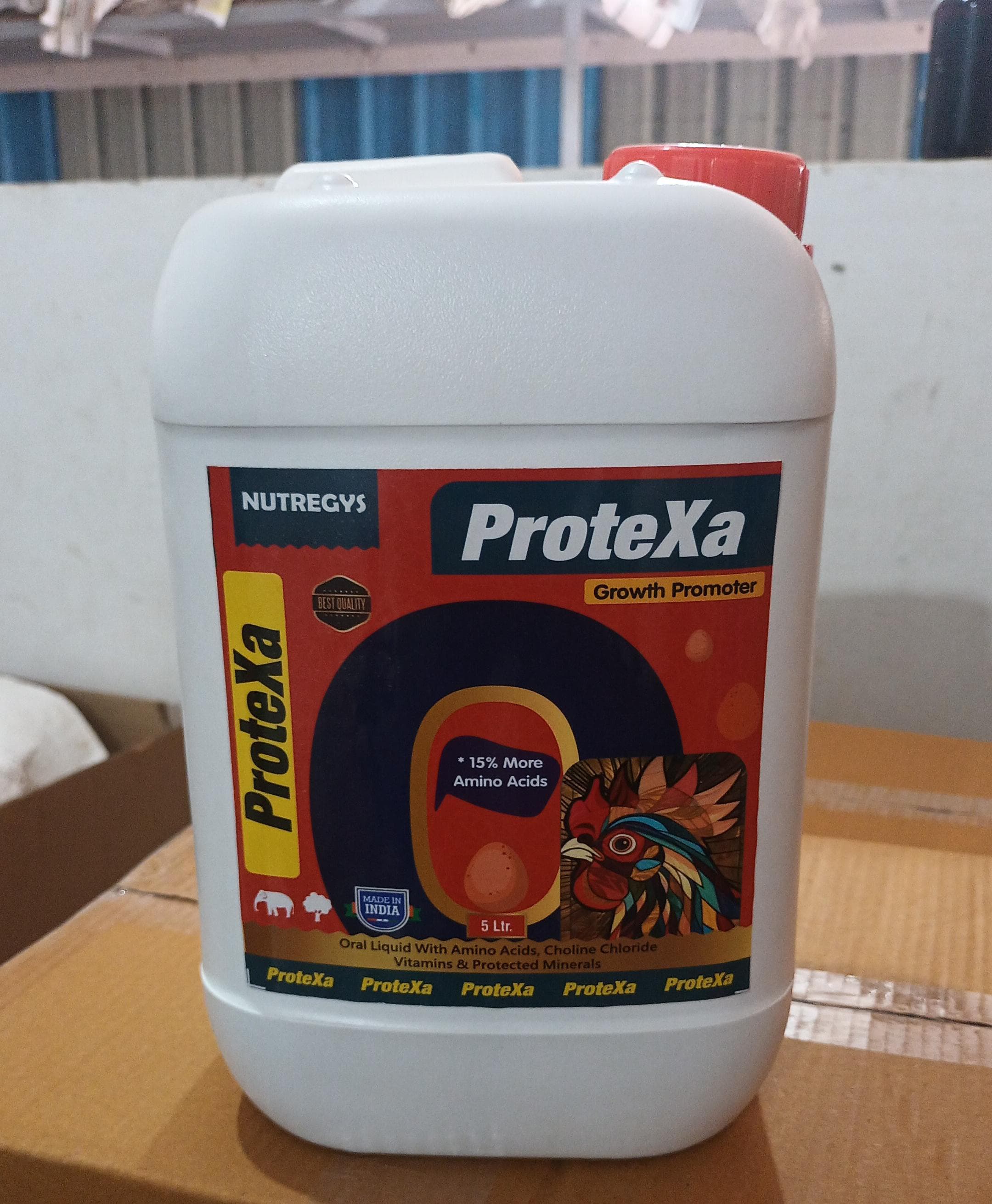 WhatsApp Image 2025-05-09 at 11.01.49 AM.jpeg